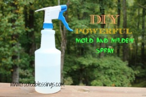 DIY Mold and Mildew Spray