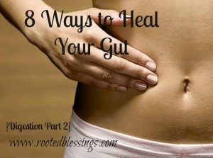 8 Ways to Heal Your gut