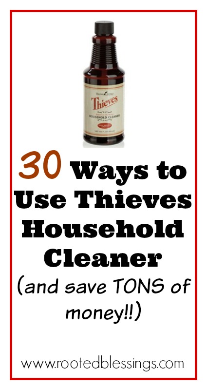 30 Ways to Use Thieves Household Cleaner